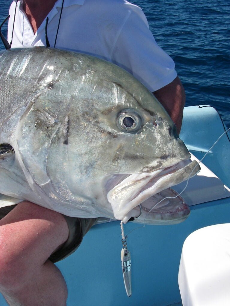 Tropical fishing for Giant Trevally 