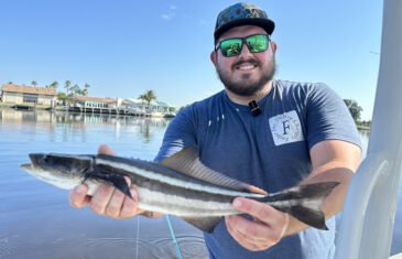 Fisherman holding large hound fish caught in residential canal waters of Tarpon Springs, Florida