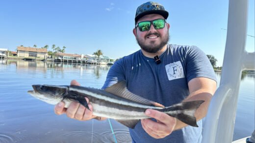 Fisherman holding large hound fish caught in residential canal waters of Tarpon Springs, Florida