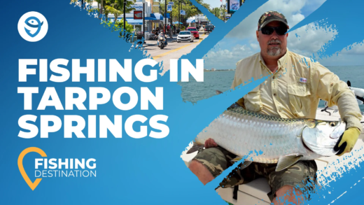 Angler highlighting Tarpon Springs fishing trips holds large silver Tarpon