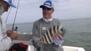 Season 2 Episode 24 Sheepshead in Shallow Water
