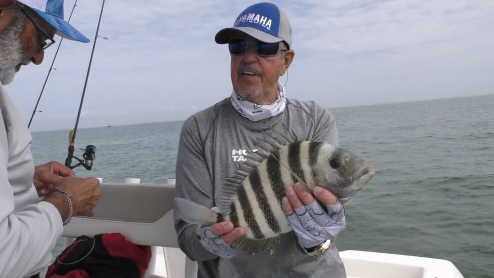 Shallow Water Sheephead – Fishing Adventures Florida Season 2 Episode 24