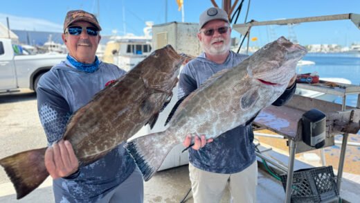 Two anglers holding large Key West grouper catches on a dock in a harbour