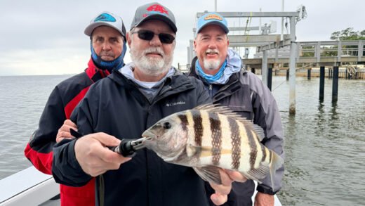 Angler holding a sheepshead during winter dock fishing in Tampa Bay