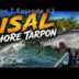 Sisal Inshore Tarpon: Yucatan Anglers TV Season 7 Episode 3